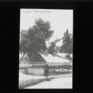 Böhl glass slide 61./1583